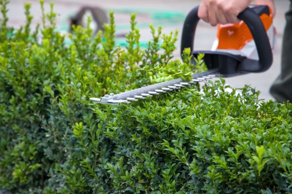 Hedge Shearing Service