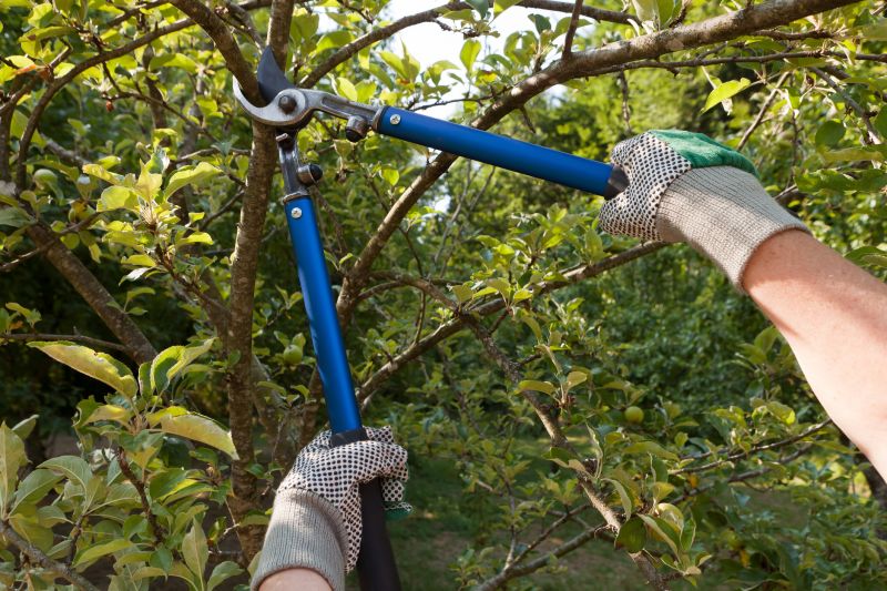 Selective Pruning