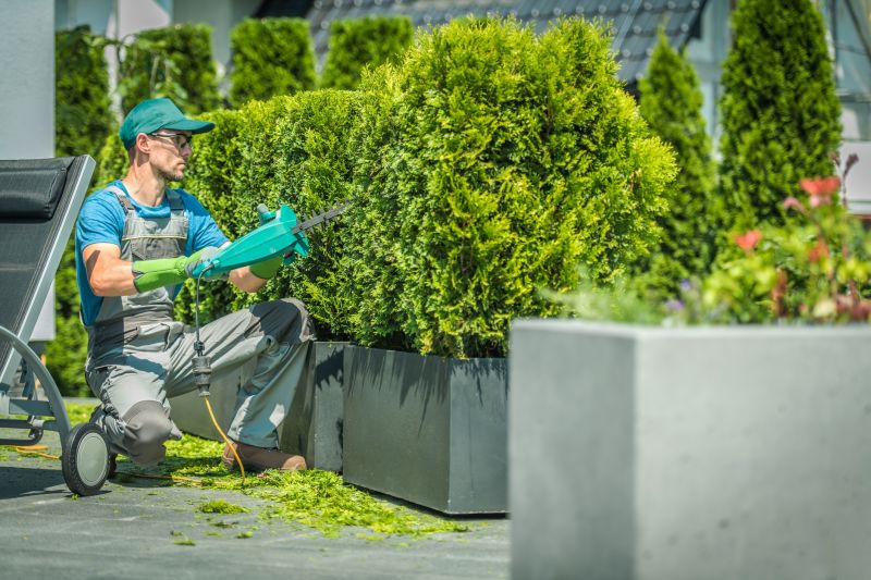 Expert shrub trimming in action