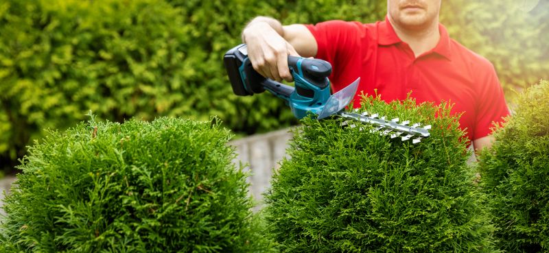 Kenosha landscape services